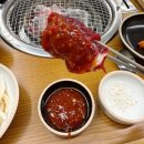 대전 구암동 소고기 맛집 투뿔한우 생고기 육사시미 N번째 방문_함평천지한우