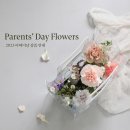 역삼-1744 | [ 강남 꽃집 / 역삼 꽃집, 어버이날 선물 ] 카네이션 꽃 선물