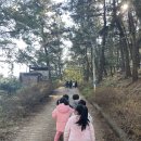 서재아이숲유치원 이미지