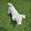 직동카센타 이미지