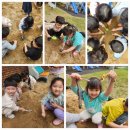 신나는 놀이체육(5세) 이미지