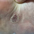 라자로 성모의원 이미지