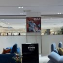 리퍼브14 유성지점 | ESSA 에싸 플래그십스토어 방문기 &amp; 에싸소파, 오아후 카시미라 구매｜8개월 실사용 리뷰