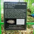 대구 법이산 봉수대 이미지