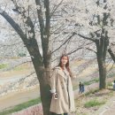 규리