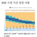 훌라이프 식물성 멜라토닌 함유 멜라이프로 깊은 잠을..