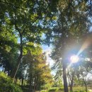 그늘막30 | 대전 피크닉 명소! 그늘막 설치 가능한 금강로하스 대청공원 후기