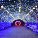 수성뽈락 이미지