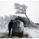 바람개비 이미지