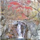 수입천계곡펜션 이미지