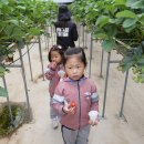 명호초등학교,병설유치원 이미지