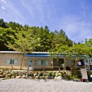 그린필로우 이미지