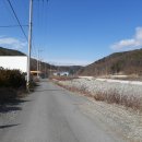 대안1길 이미지