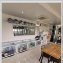 구리동물보호센터 이미지