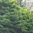 스피노자, 욕망의 기하학 - 이근세