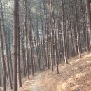 원주굽이길 원10코스 바람머리산길 이미지