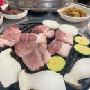 사계절고기한판 이미지