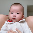 지혜아동복 이미지