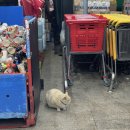 현미세탁소 이미지