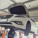 태풍카모터스 이미지