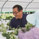 오로정승마을 영농조합법인 이미지