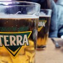 용성통닭 | [맛집] 수원 남문 통닭거리 용성통닭 본점 방문 후기 ❤️완추❤️