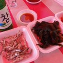 대보포차 이미지