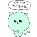 합천 일번지 켄넬 이미지