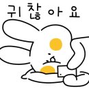 자수언니 이미지