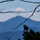 곡성-259 이미지