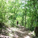 용담호보이는길 이미지