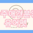 펫 애견샵 이미지