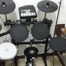 체르니음악학원 이미지