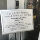 허밍벨라