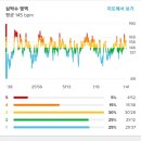 라파전위 이미지