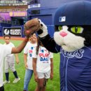 디제이 컴퍼니 DJ COMPANY | MLB / American League / East / Tampa Bay Rays / DJ Kitty
