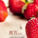 은혜자동차 이미지