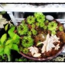 해비치마을 체험장 이미지