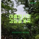 숨은 계곡 | 충남 숨은 계곡 명소, 강당골계곡 나들이 후기 🏞️