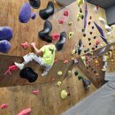 더파이터태권도장 이미지