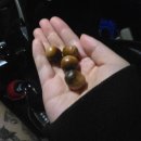 보계제1농로 | 2025년 10월 31일 날씨 : 🍁