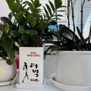 흥부빈대떡 이미지