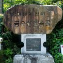 08월 군산 월드 산악회 제천 금수산 산행 안내 이미지