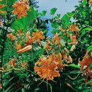 우곡사거리 이미지