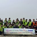 원산도해수욕장 웹이코노미