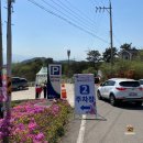 미리내색소폰 | [경남 산청] 황매산철쭉제, 주차 및 개화정도(+먹거리, 카페)