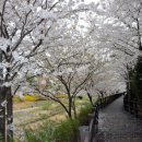 수원-이의-이의-16 이미지