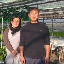 달코미팜
