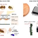 ㈜그린네이처 이미지