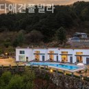 우다다애견 이미지